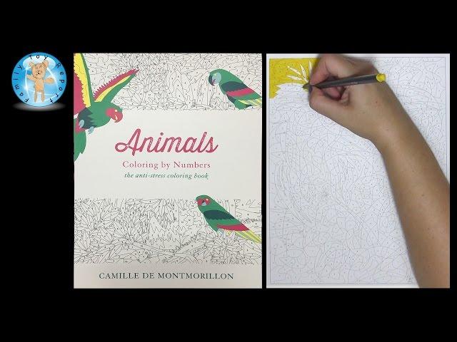 Animals Coloring by Number Adult Coloring Book Speed Color - Family Toy Report