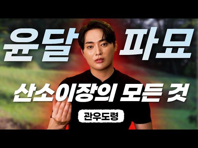 (관우도령) 윤달과 파묘! 산소 이장의 모든 것 #용한점집 유명한점집 신점