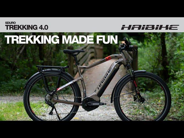 2020 Haibike Trekking 4.0