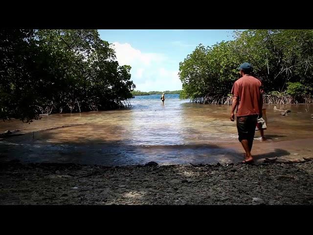 Daduwe Mangrove Tour July 2019 (Thomas and Bihu)