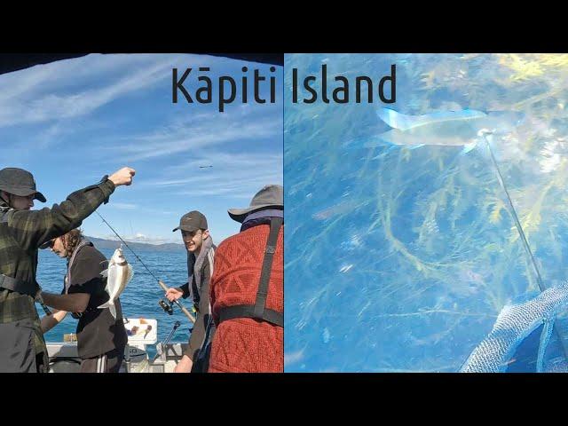 FISHING&DIVING KAPITI ISLAND - 3 generations on the water