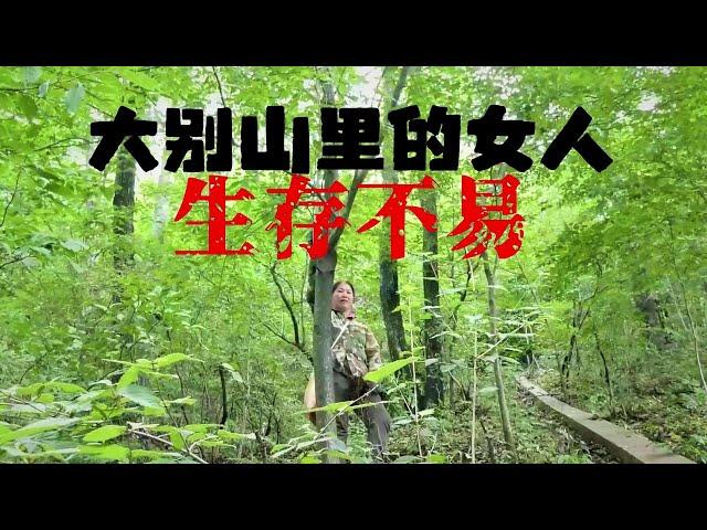 穷游小夫妻，深入安徽大别山秘境！偶遇采药大姐，一天挣几十元，生存不易！