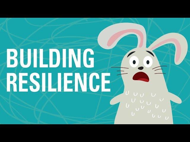 Building Resilience