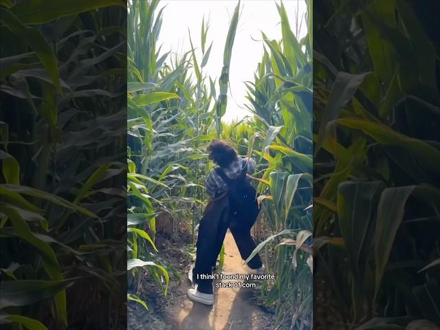 we got LOST IN A HAUNTED CORN MAZE  w Mattie Westbrouck- #shorts