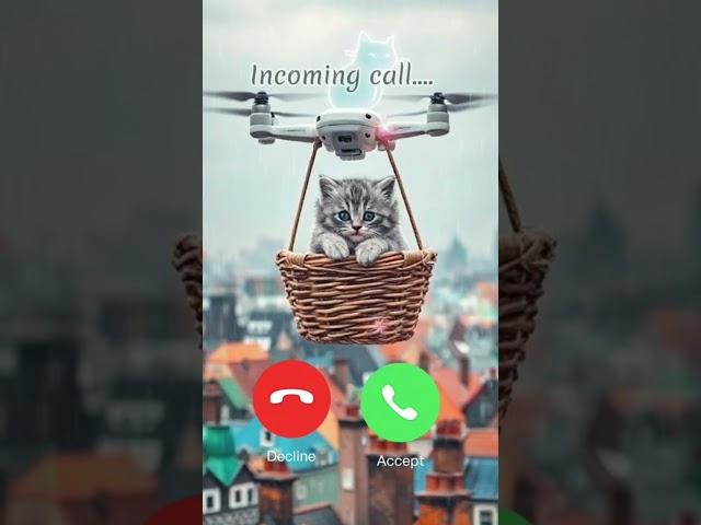 Feline's Calling – Answer Meow!" #cat​​ #cutecat​​ #shorts​​
