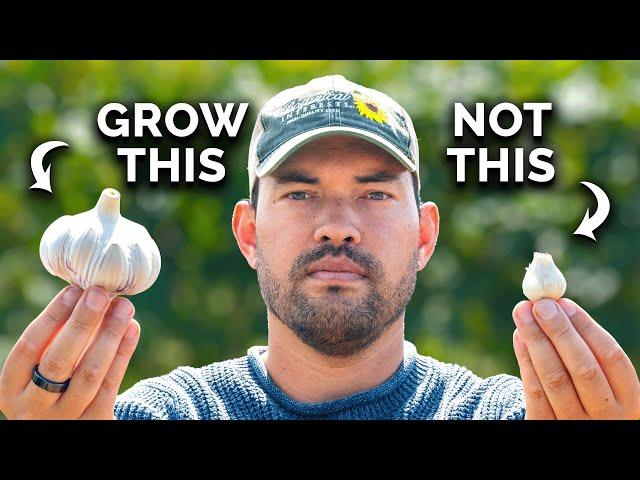 Watch This Before You Plant Garlic