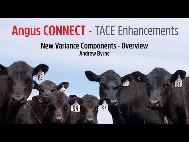 New Variance Components - Overview by Andrew Byrne