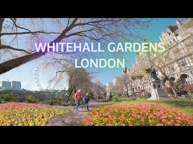  A Short Walk In Whitehall Gardens London | 4K