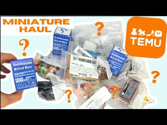 Dollhouse Miniature Haul & Blind Boxes • Food & Accessories from Temu