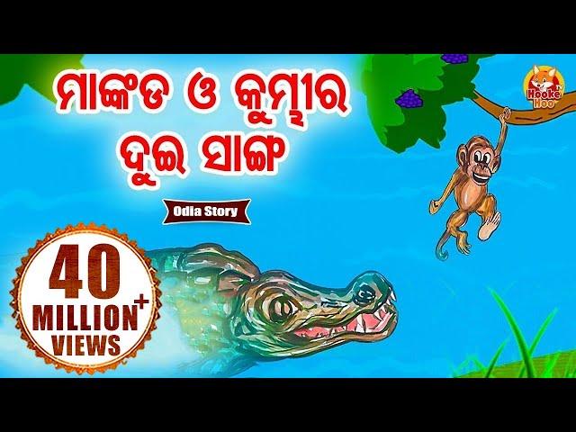 Mankada O Kumbhira Dui Sanga ମାଙ୍କଡ ଓ କୁମ୍ଭୀର ଦୁଇ ସାଙ୍ଗ | Odia Moral Story | Huke Hu Tv