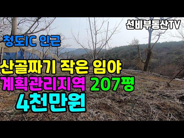 청도토지(100) 청도읍 운산리 계획관리지역임야 선비부동산055-354-8757 자연인토지 주말농장 텃밭#청도부동산매물#청도토지#청도부동산#청도전원주택#청도촌집#청도농막