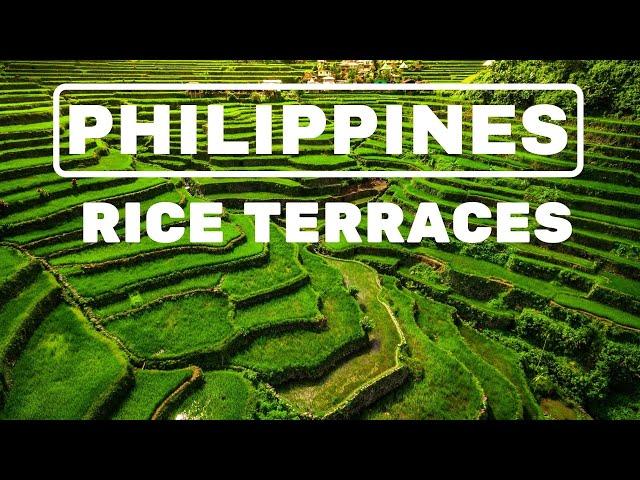 THE PHILIPPINES: THE AMAZING RICE TERRACES OF IFUGAO, CORDILLERA  BOHOL AND BANUAE