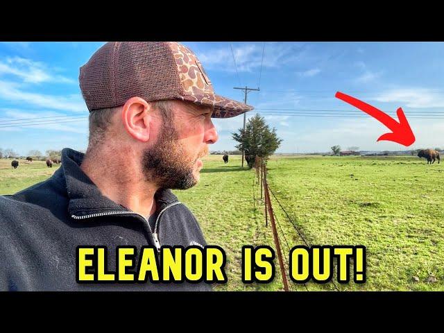We Had to Rescue Eleanor! We Found Her In...