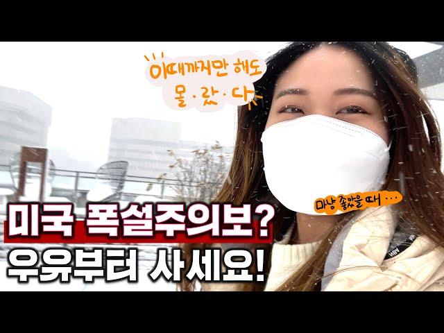 나만 몰랐던 미국 폭설 대비하기.. | 둘째딸 미국 현실 브이로그 | 메릴랜드 VLOG