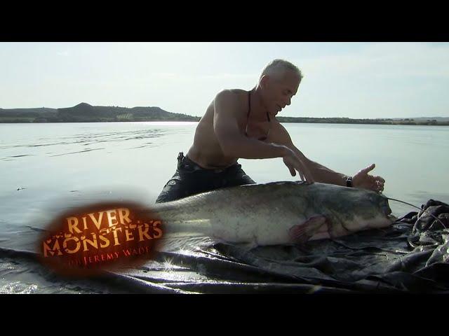 Spanish Wels Catfish Nearly Bites Jeremy | CATFISH | River Monsters