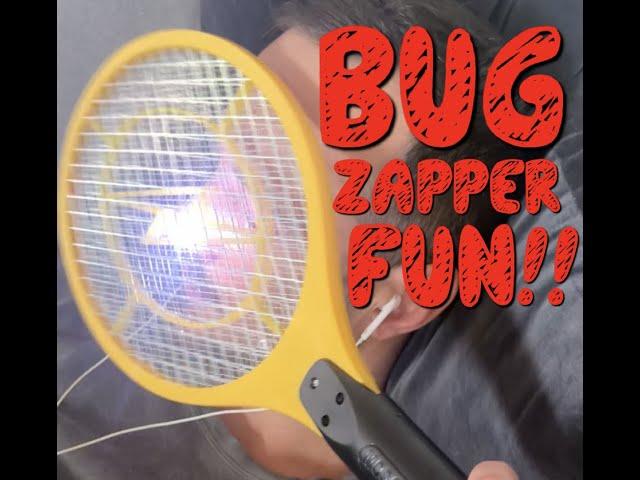 Bug Zapper Fun!