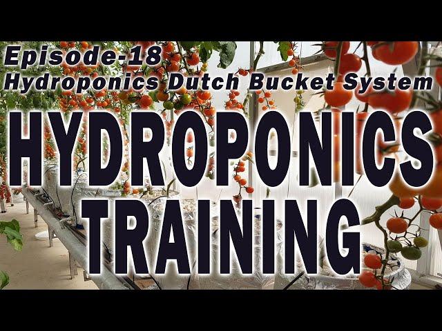 Hydroponics Training - Episode 18 (Hydroponic Dutch Bucket System Part 2)Hydroponic Farming Training