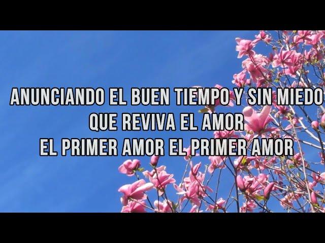 Primer amor