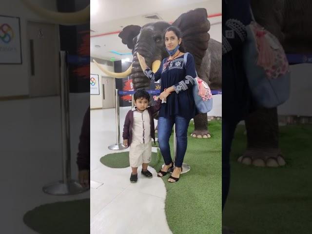 karva chauth celebration/ mr Sanjeev vlog #short