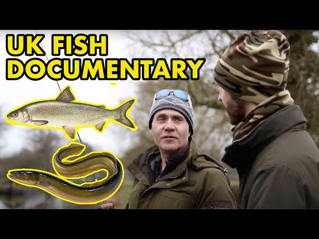 Beneath the Waterline: UK FISH DOCUMENTARY (2014)