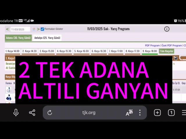 11 Mart 2025 Salı Adana at yarışı tahminleri Adana altılı ganyan tahminleri | Oğulcan Karaca