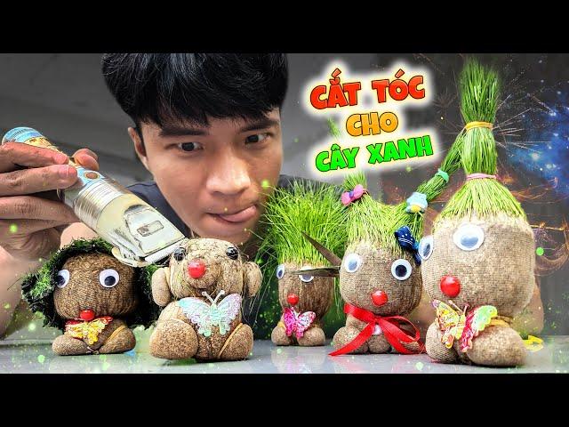 Tony | Cắt Tóc Cho Cây Xanh  𝐇𝐚𝐢𝐫𝐜𝐮𝐭 𝐅𝐨𝐫 𝐓𝐫𝐞𝐞𝐬