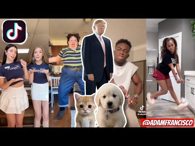 "They're Eating The Dogs, They're Eating The Cats" Trump Remix TIKTOK Compilation