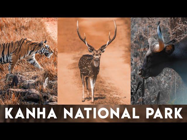 Kanha National Park