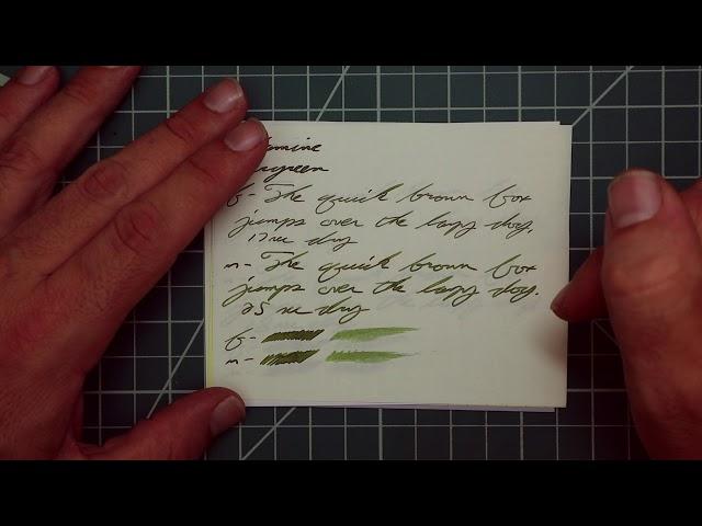 Diamine Evergreen Fountain Pen Ink