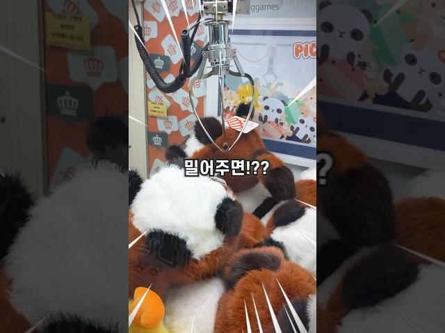 인형뽑기에 100만 원 쓰고 마침내 알아낸 개꿀팁!!