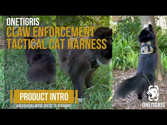 OneTigris CLAW ENFORCEMENT Tactical Cat Harness