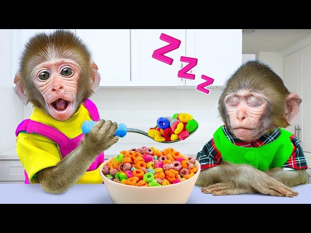 Bibo Monkey Become Little Monkey's Nanny to Taking Care of Health and Go Swimming | KUDO ANIMAL BIBO