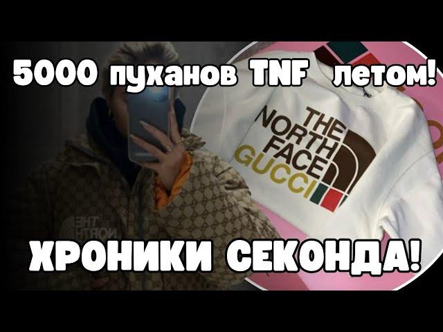 5000 пуханов The north face летом/ хроники секонда от sharonov ekb