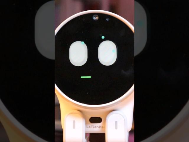 EMO Robot Vs Rux Robot - My Honest Comparison  #shorts