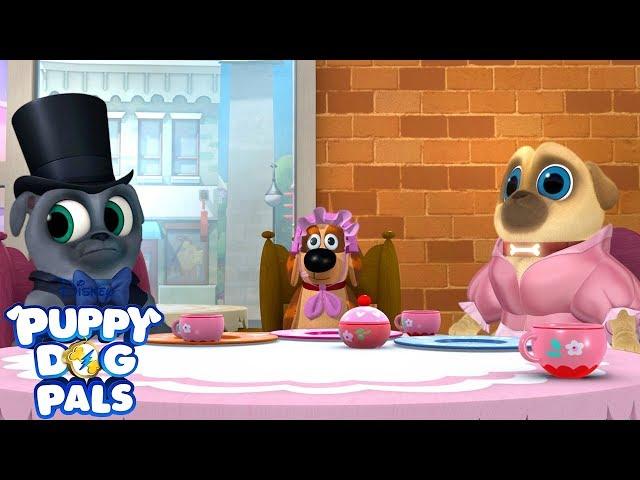 Tea Pup Party! | Puppy Dog Pals | Disney Junior