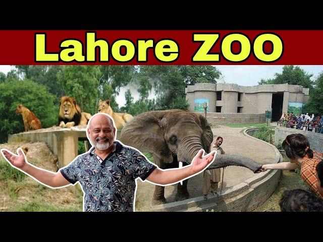 Lahore zoo/ rainy day in Lahore/ iftikhar Ahmed usmani/ historical zoo