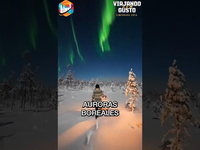 Cómo y Dónde Ver Auroras Boreales