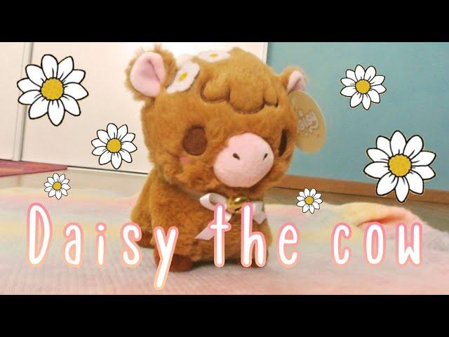 Daisy the cow by Afternoon Fika 