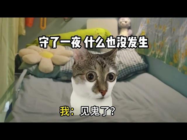 早上起床发现枕边有屎。。。  #猫meme #猫咪表情包 #猫meme小剧场 #学生日常 #迷惑操作