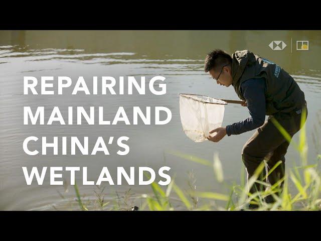 Saving mainland China’s wetlands and endangered plants and animals