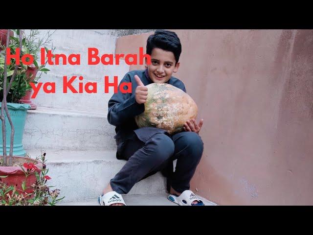 Safwan jadoon village vlog/Ho Itna Barah ya kia ha/ #safwanjadoon#village#dailyvlog