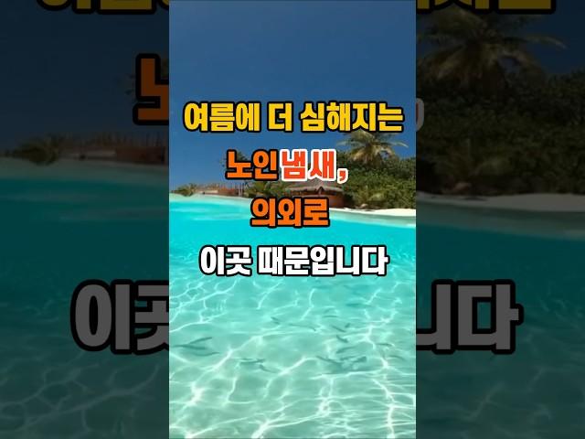 여름에 더 심해지는 노인냄새, 의외로 이곳 때문입니다. #지혜 #명언 #좋은글 #인생조언
