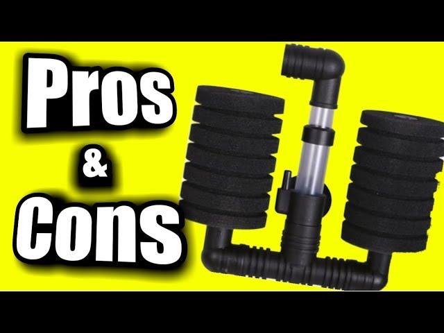 Dual Sponge Filter | Top 3 Pros and Cons of an Air Driven Aquarium Filter