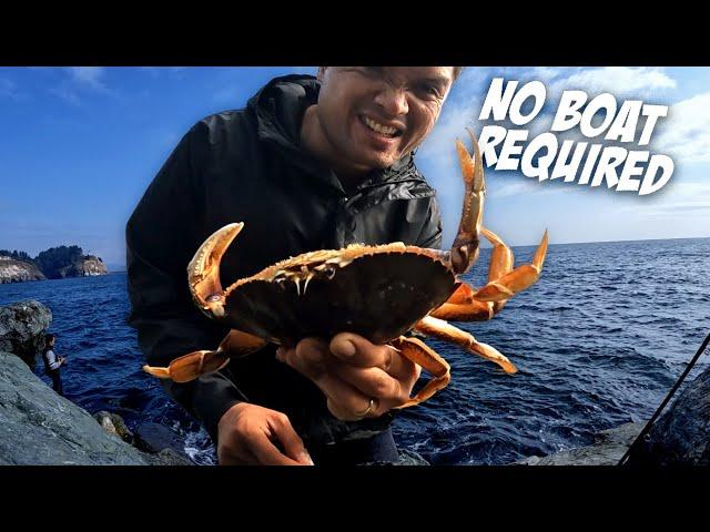 CATCHING CRABS WITHOUT LEAVING THE SHORE (unbelievable crabbing in Washington)