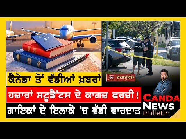 Canada Punjabi News Bulletin | November 16, 2024  | TV Punjab