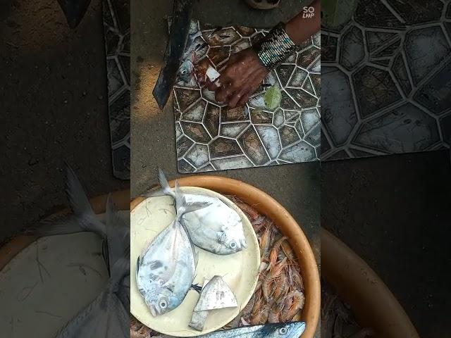 Dalimbi Fish  Cutting Kokan
