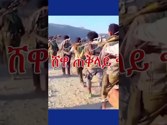#አማራ ፋኖ#ethiopianewsamhara fano,fano amhara,amhara,fano amhara news,fano,amhara fano news,eas