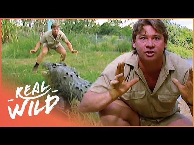 Steve Irwin Faces A Massive Saltwater Crocodile In Australia | Crocs Down Under | Real Wild