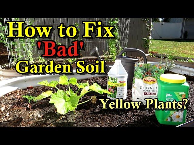 How to Fix 'Bad' Garden Soil & Cure Yellow Stunted Plants: New Soils Can Be Problematic!