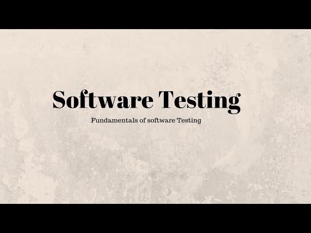Static Testing Techniques- Review Process